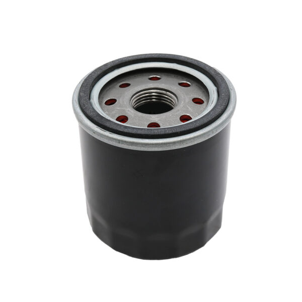 Filter ulja Briggs & Stratton 499532